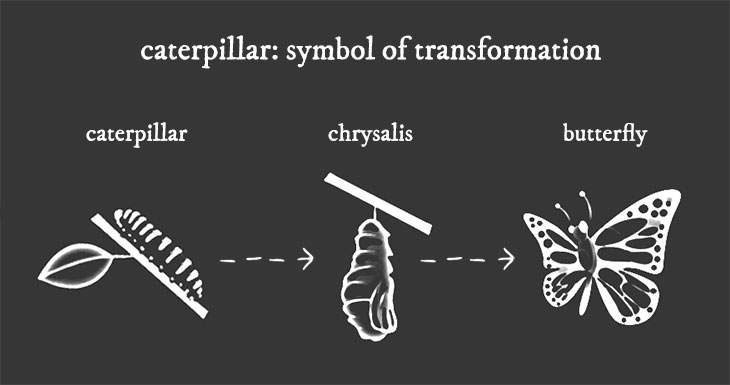 caterpillar symbol of transformation