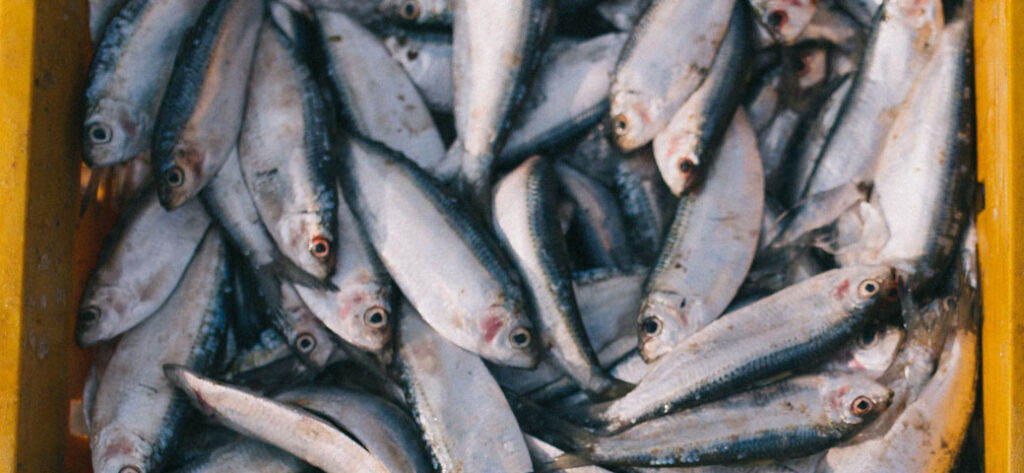 dream about fish out of water