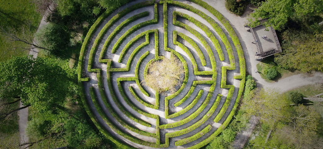 dreams about mazes